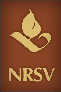 New Rsv Bible Download