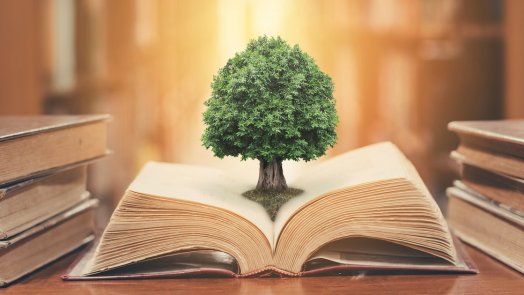Tree in book for a post about philosophy and christianity