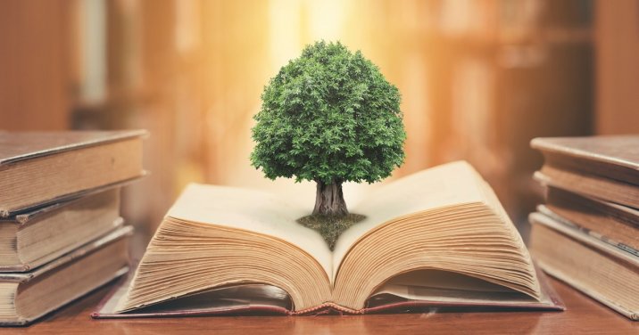 Tree in book for a post about philosophy and christianity