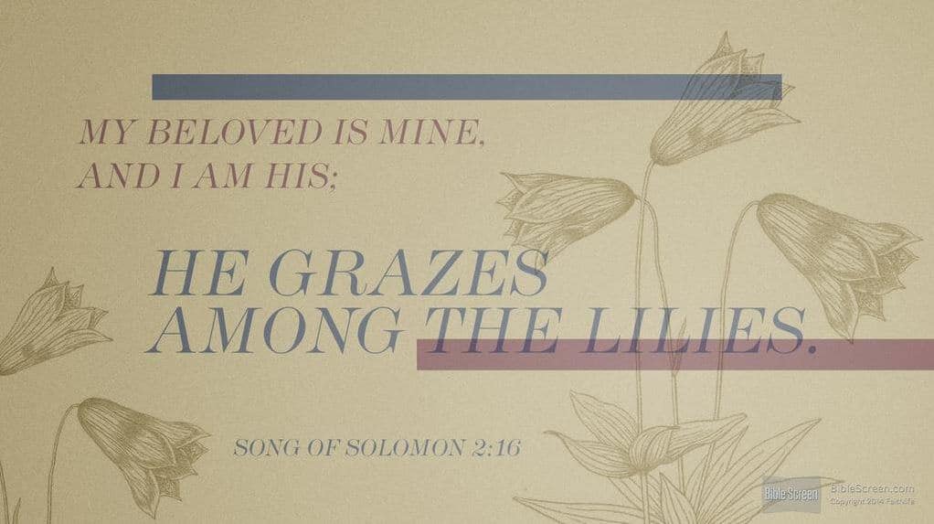 Song of Solomon 2:16