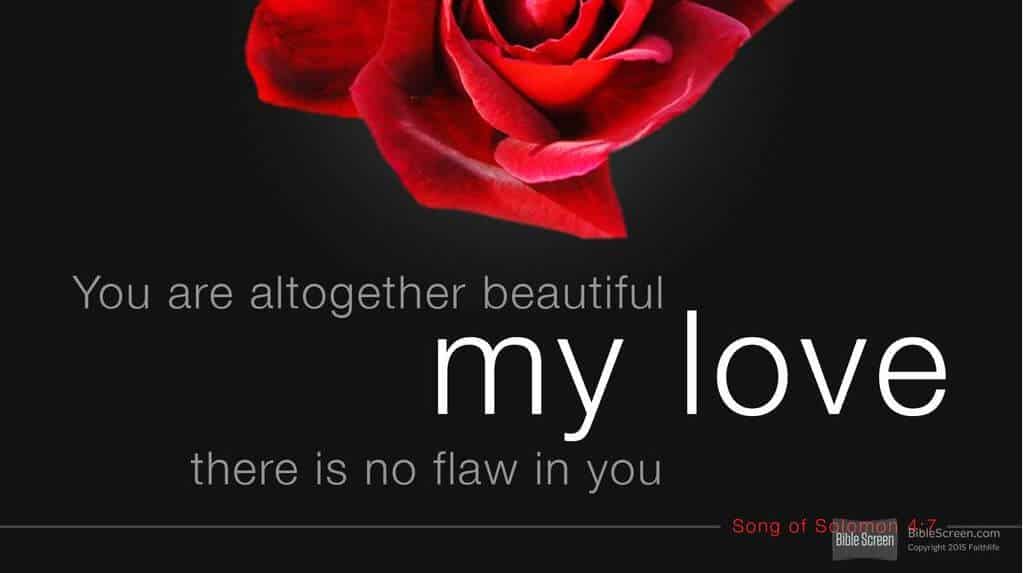 Song of Solomon 4:7