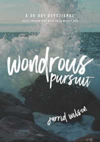 wondrous_pursuit