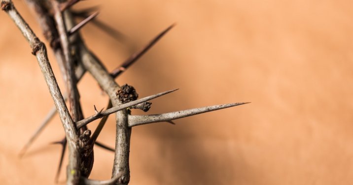 Crown of Thorns Header OPT x