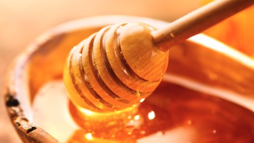 Honey Header OPT x