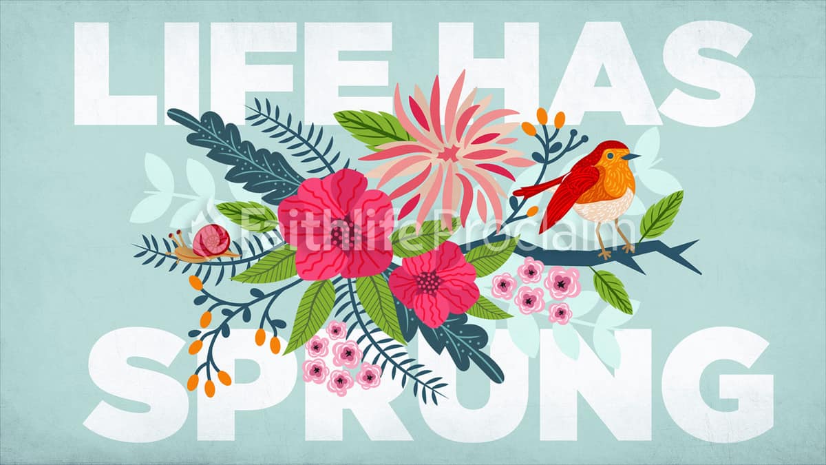 Life Has Sprung on light blue background with floral graphic