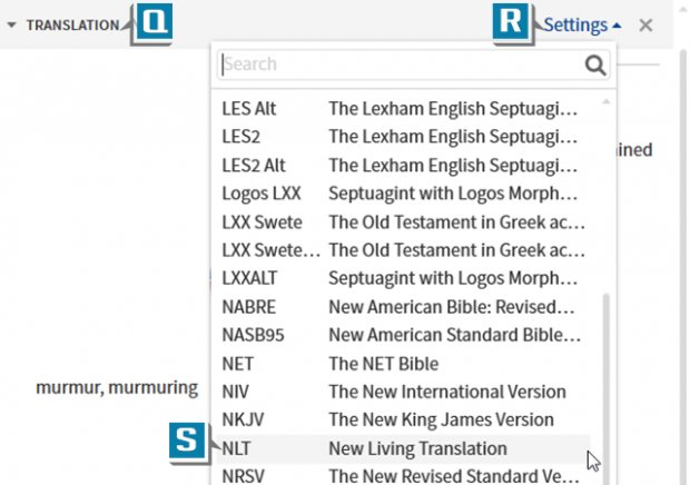 image showing bibles used in the Logos Word Study Guide