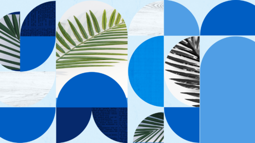 Collage of palms for Palm Sunday
