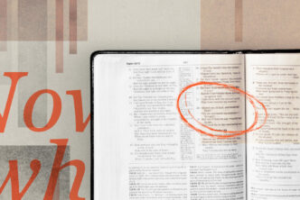 BSM You Just Decided to Study the Bible