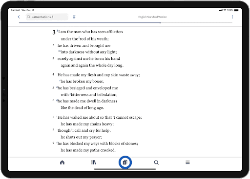screenshot of how to add a split screen on a tablet in the Logos app