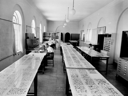 Scholars examine Dead Sea Scrolls fragments from various books of the Bible