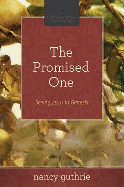 The Promised One devotional cover