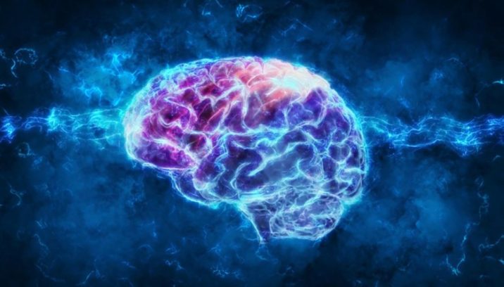 stylized image of a brain