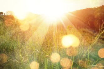 bright sun rises over a field to represent the Resurrection