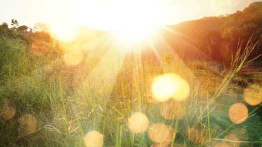 bright sun rises over a field to represent the Resurrection