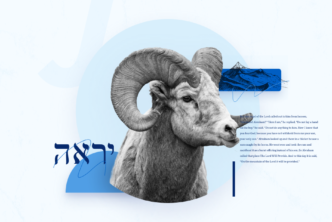 Jehovah Jireh article. Image of a ram.