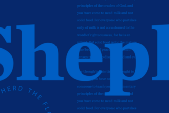 the word shepherd in light blue against a dark blue background