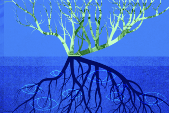 A graphic featuring a tree with its roots. The tree limbs have the color of money and the roots are black, representing the idea that the love of money is the root of all kinds of evil.