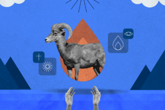 fire and a ram signifying a burnt offering in the bible
