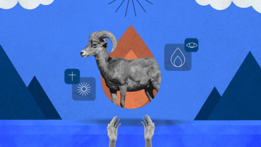 fire and a ram signifying a burnt offering in the bible