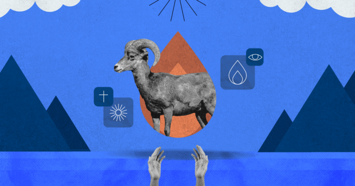 fire and a ram signifying a burnt offering in the bible