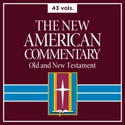 New American Commentary Series