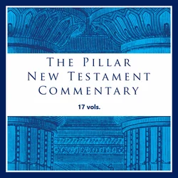 Pillar  vols