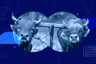 An image of a pair of oxen yoked together in the center. Towards the bottom right, a portion of the article text can be seen.