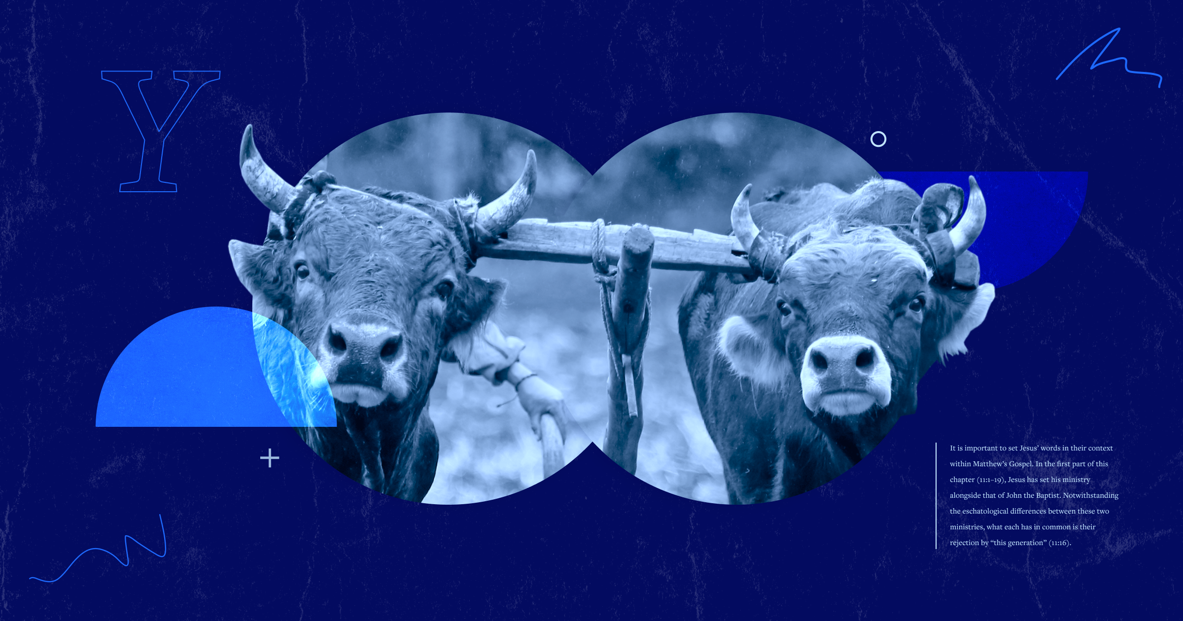 An image of a pair of oxen yoked together in the center. Towards the bottom right, a portion of the article text can be seen.