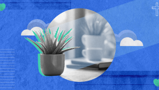 A close-up image of a small succulent plant in a bright office, symbolizing growth and resilience.