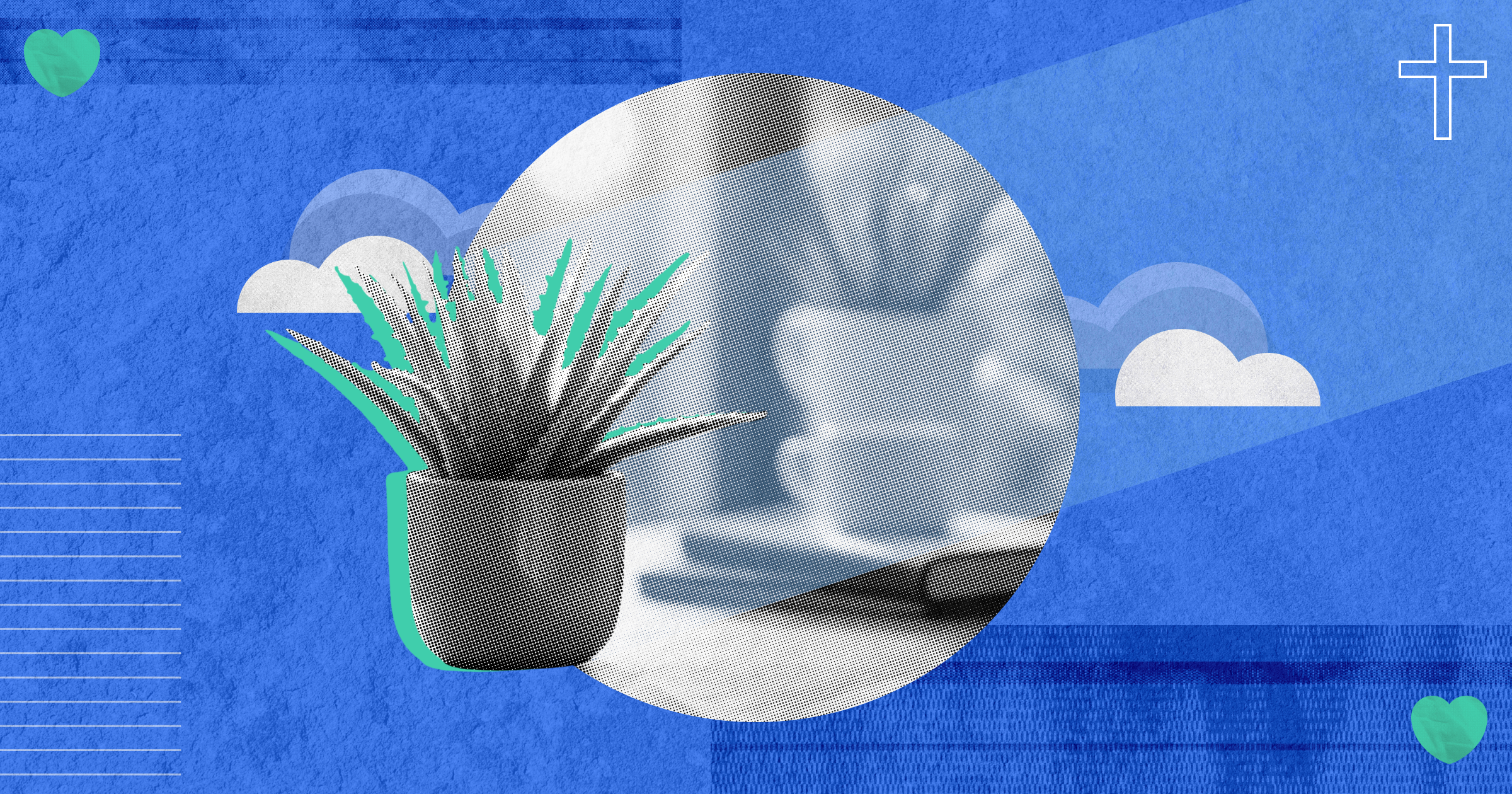 A close-up image of a small succulent plant in a bright office, symbolizing growth and resilience.