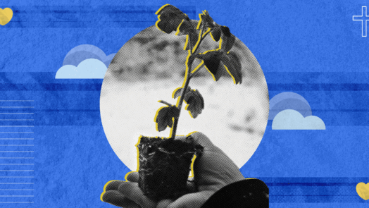 An image of a hand holding a plant to represent growth and ministry experience while in seminary.