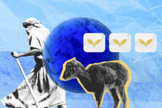 An image of a shepherd walking with a staff beside a sheep, symbolizing the imagery from Matthew 9:35-38. In the background, icons with golden sprouting leaves represent the plentiful harvest and ministry work.