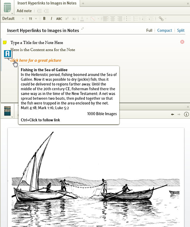 Insert Hyperlinks Example 3