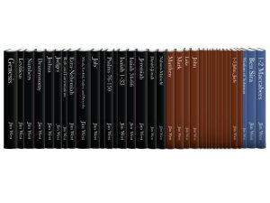 The Person the Pew Commentary Series (36 vols.)